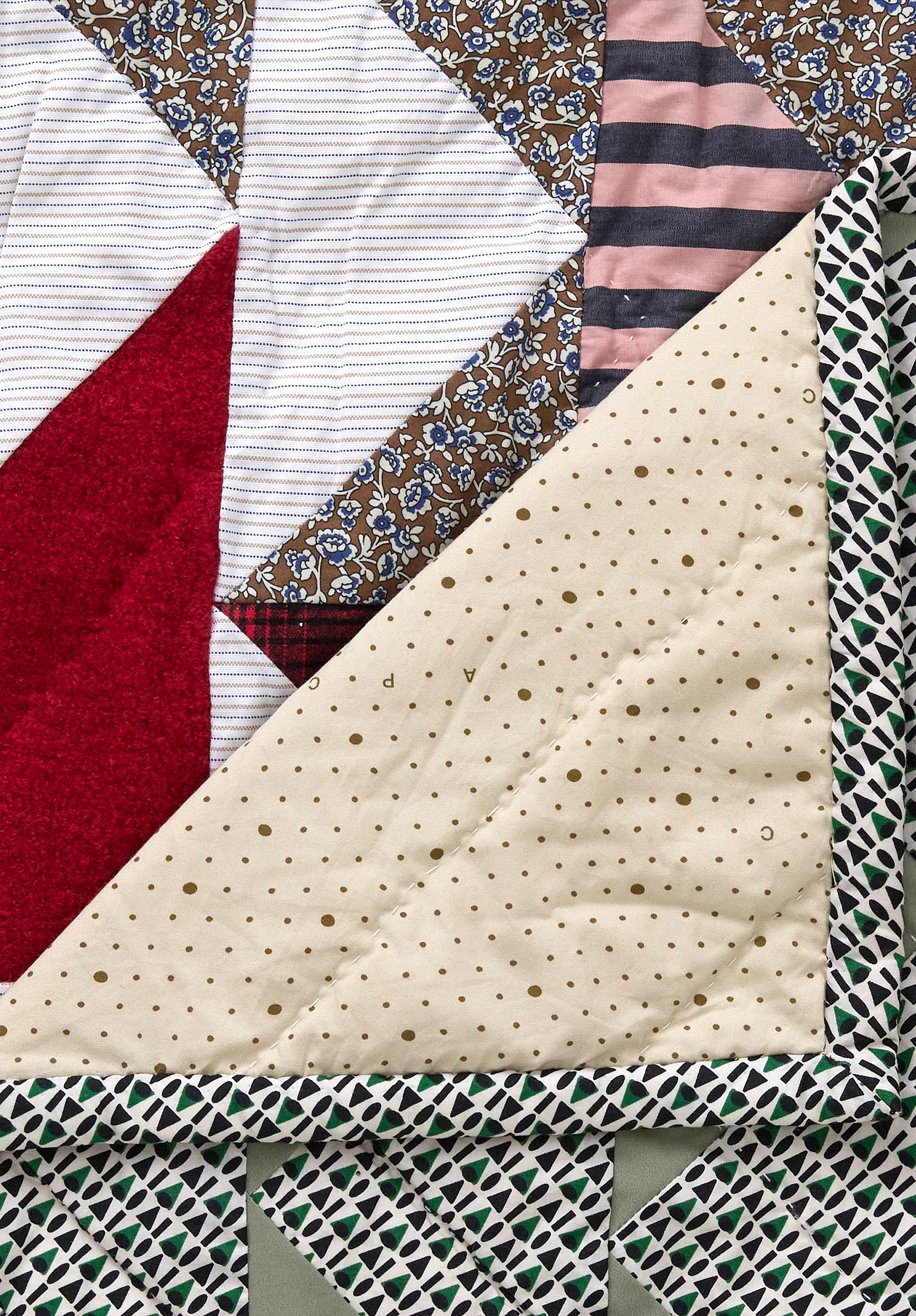 Cockle Shells - Image 4