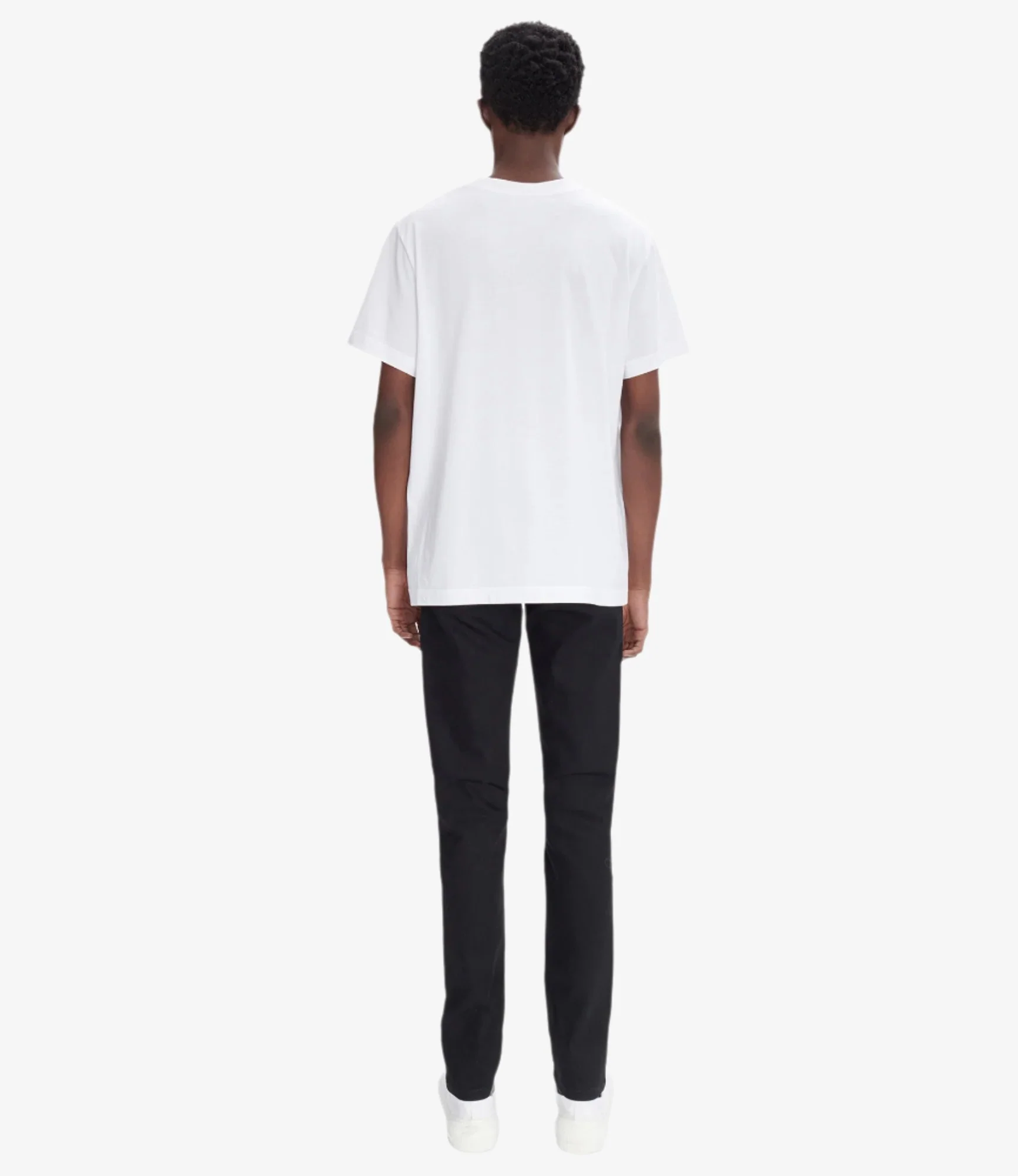 Petit New Standard (M) - Image 3